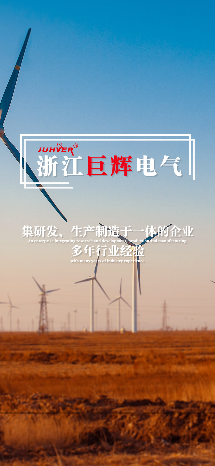 浙江巨輝電氣有限公司